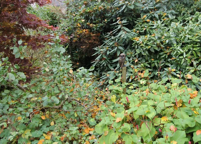 Ferienhaus De Bosuil